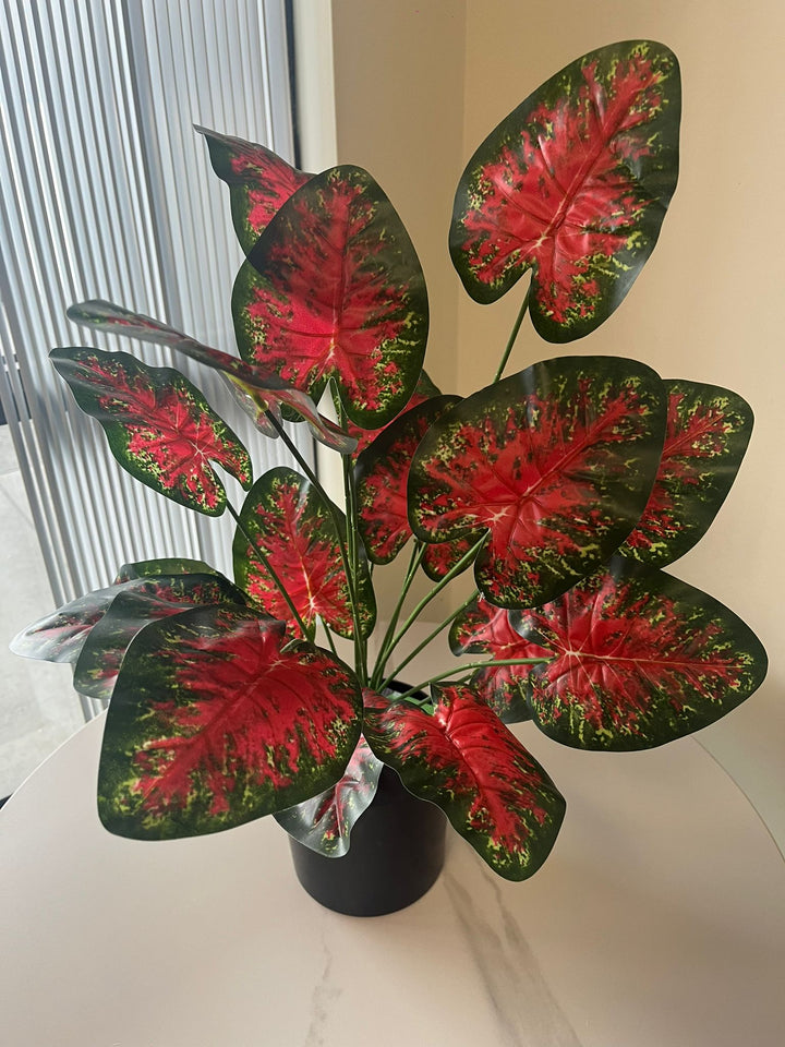 Artificial Caladium Plant