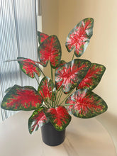 Load image into Gallery viewer, Artificial Caladium Tabletop Plant
