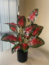 Load image into Gallery viewer, Artificial Caladium Tabletop Plant
