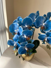 Charger l&#39;image dans la galerie, Real Touch Artificial Blue Orchid Arrangement
