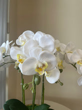 Load image into Gallery viewer, Real touch artificial orchid Arrangement
