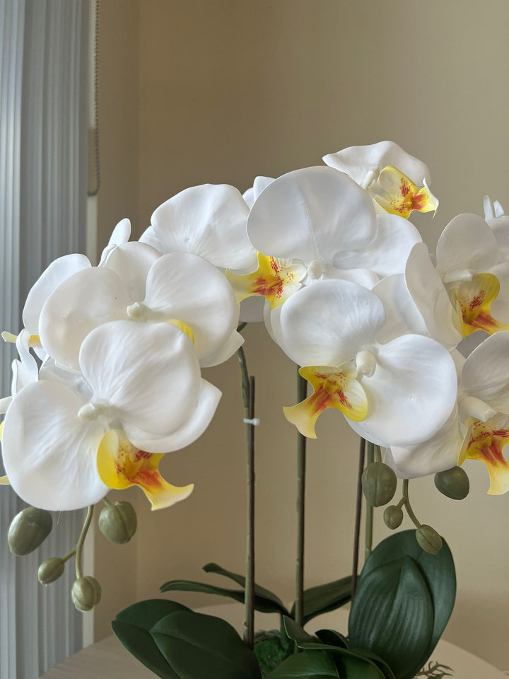 Real touch artificial orchid Arrangement