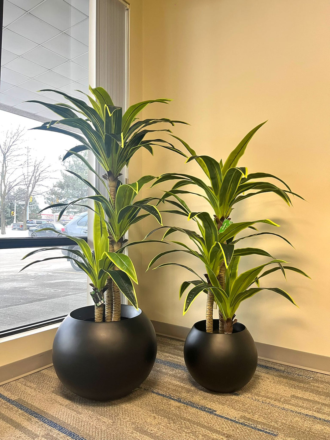 Fiberglass pot - Black (16" W x 13" H)