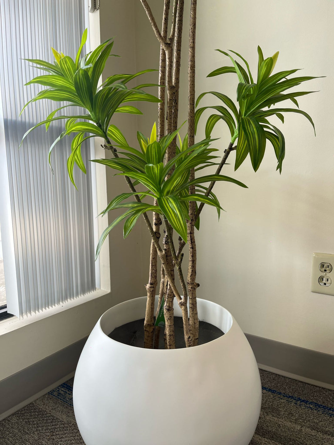 Artificial Yucca Plant- 6ft