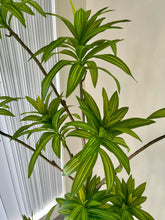 Load image into Gallery viewer, Artificial Yucca Plant- 5ft
