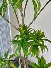Load image into Gallery viewer, Artificial Yucca Plant- 5ft
