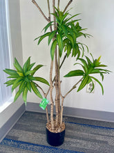 Load image into Gallery viewer, Artificial Yucca Plant- 5ft
