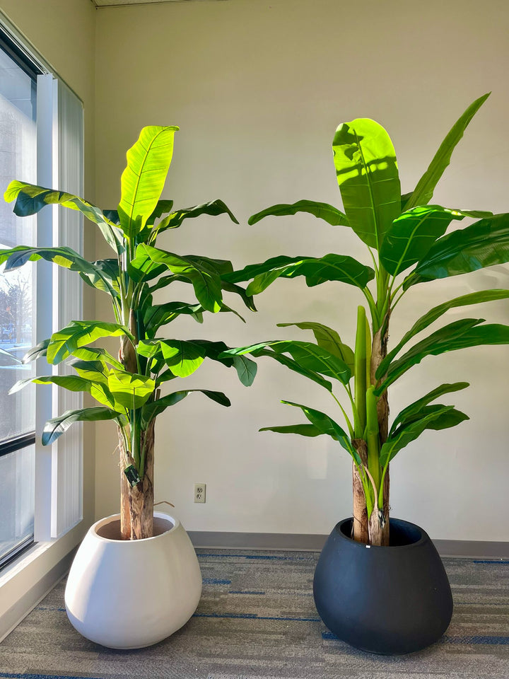 Classic Cement Planters (24"W x 18"H)