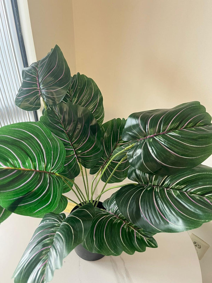 Artificial Plant- 24" (Pinstripe Plant)