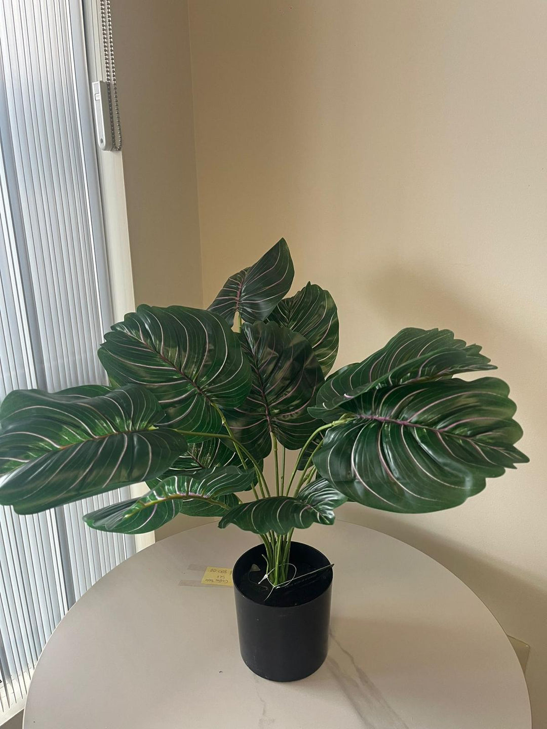 Artificial Plant- 24" (Pinstripe Plant)