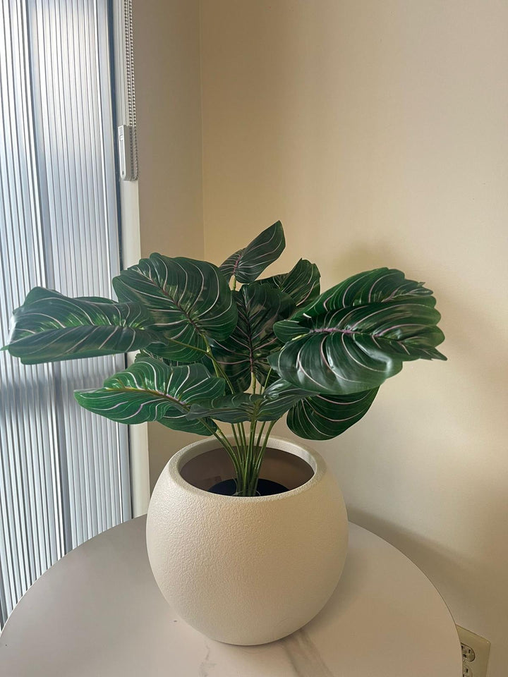 Artificial Plant- 24" (Pinstripe Plant)