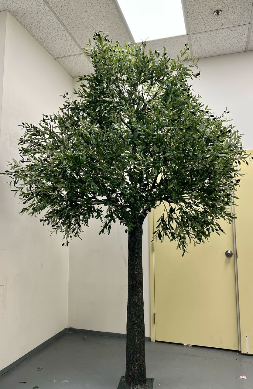 8ft- Artificial Olive Tree