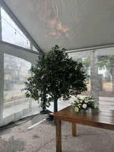Charger l&#39;image dans la galerie, 10ft Artificial Olive Tree
