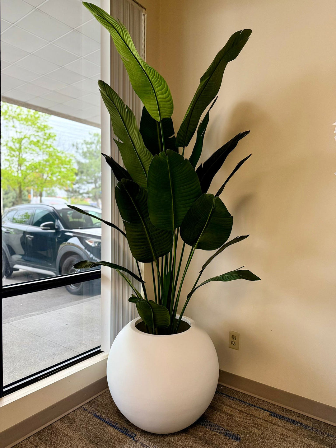 Oversize White Fiberglass Globe Pot (21" H x 25" W)