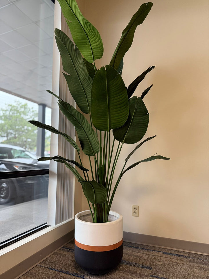 Elegant Tricolor Plant Pots