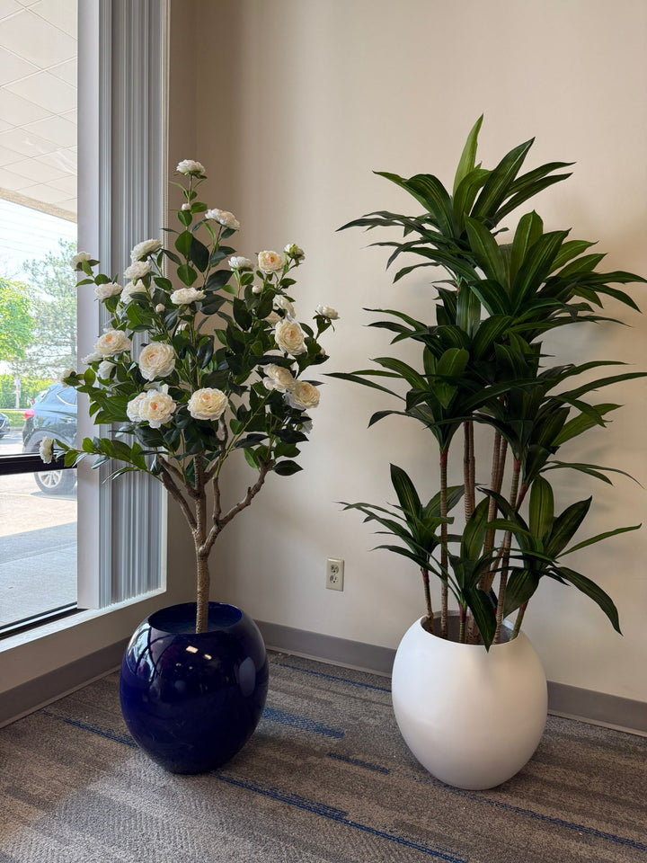 Modern Fiberglass Pot