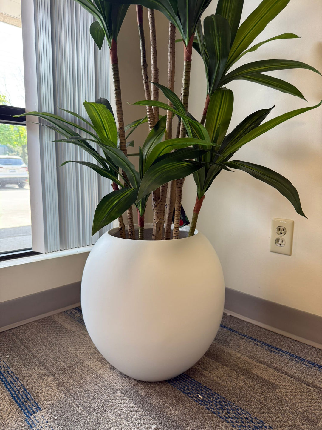 Modern Fiberglass Pot