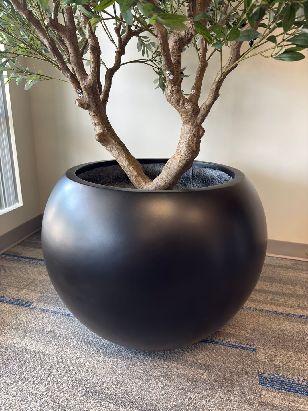 Big Round Black Fiberglass Planter (23"H x 33"W)