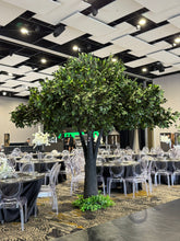 Charger l&#39;image dans la galerie, 12ft Artificial Ficus Tree
