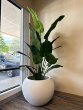 Load image into Gallery viewer, Big Round Black Fiberglass Planter (23&quot;H x 33&quot;W)

