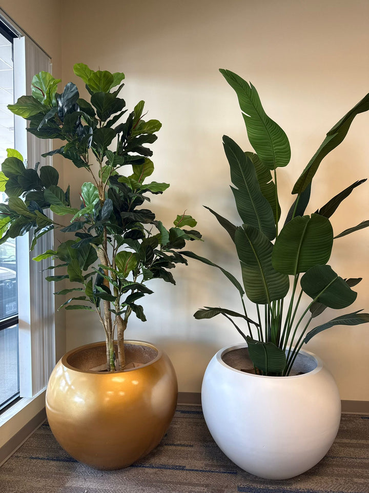 Big Round Black Fiberglass Planter (23"H x 33"W)