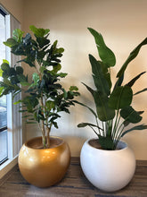 Load image into Gallery viewer, Big Round Black Fiberglass Planter (23&quot;H x 33&quot;W)
