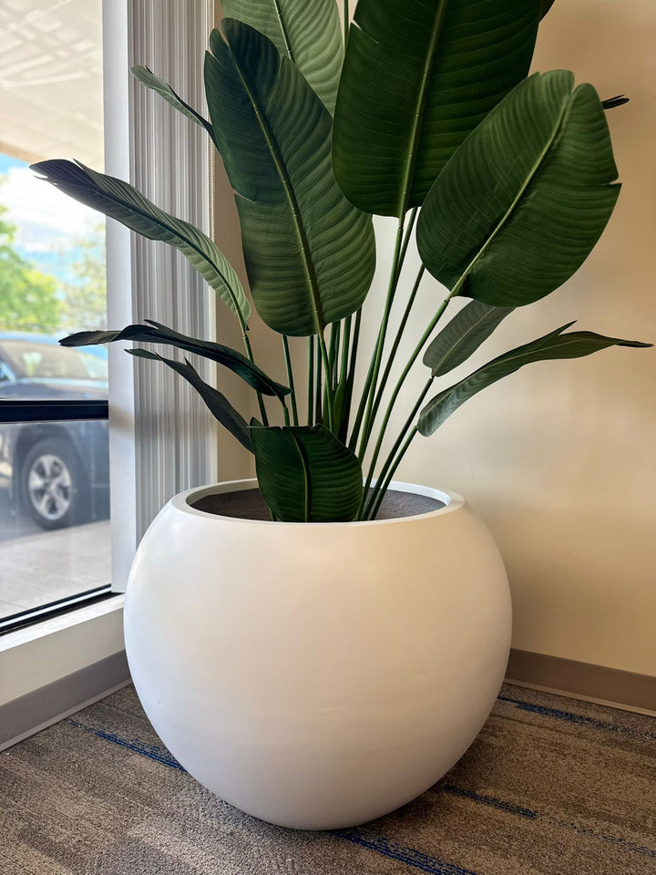 Big Round Black Fiberglass Planter (23"H x 33"W)