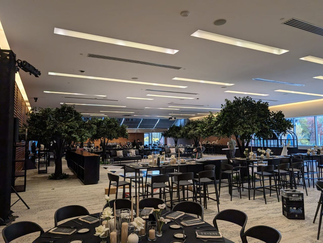 12ft Ficus Trees in an event Venure in Toronto