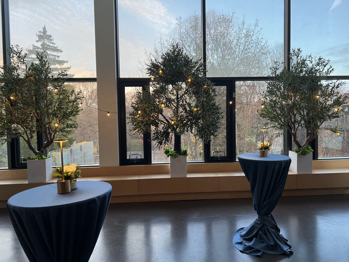 8ft artificial olive trees used as backdrop at an event at The York School Toronto