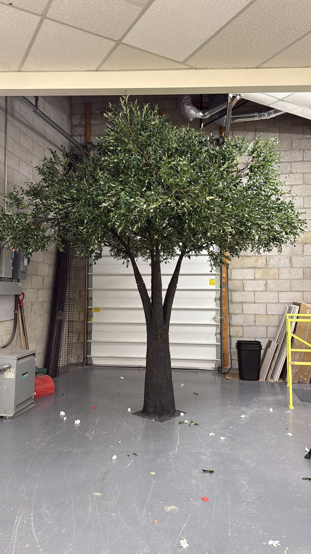 large artificial olive tree in a warehouse ready for a modern interior space