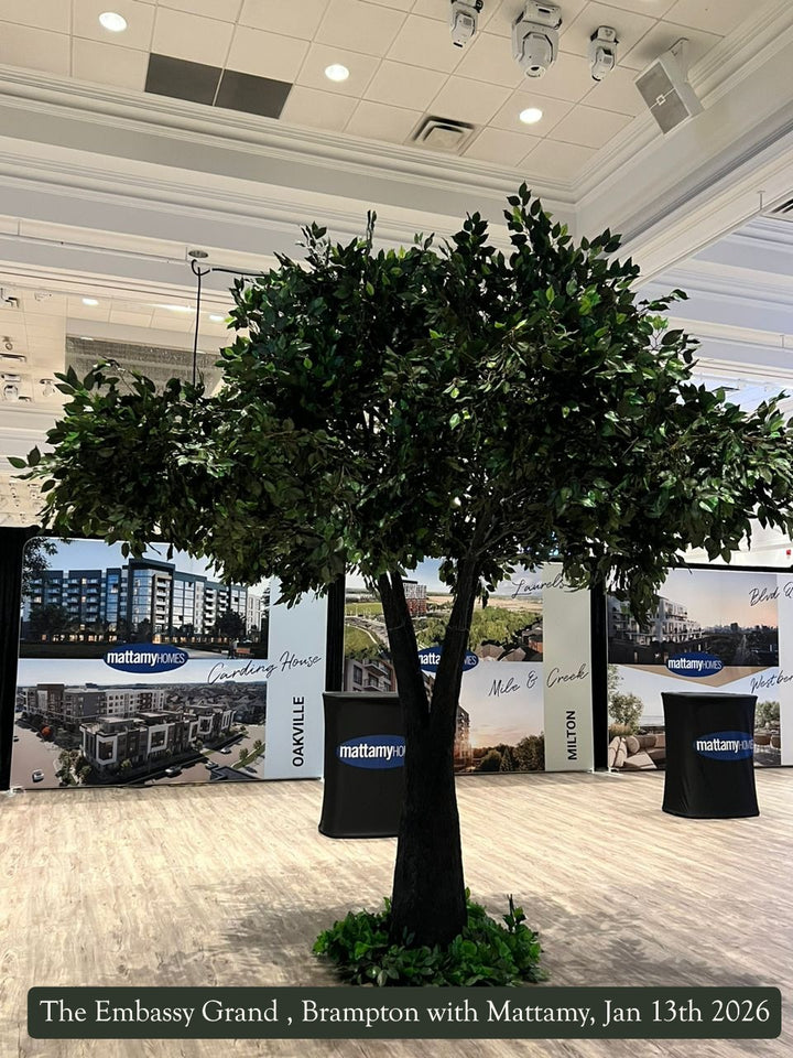 WhatsApp Image 2026-01-13 at 10.24.42 PM.JPG