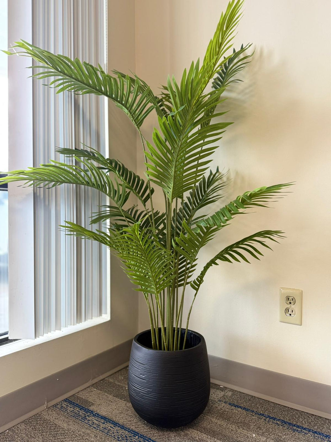 Classic Textured Cement Planters