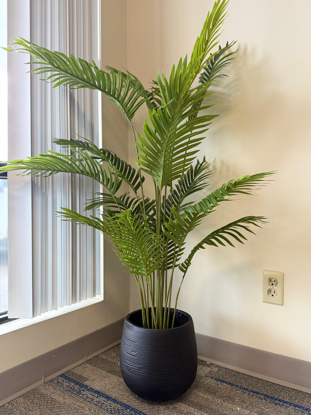 Textured Cement Planters