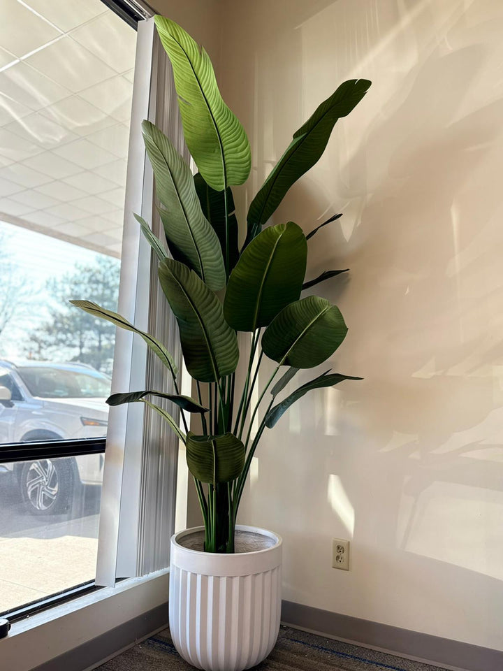Classic Ribbed Cement Planters
