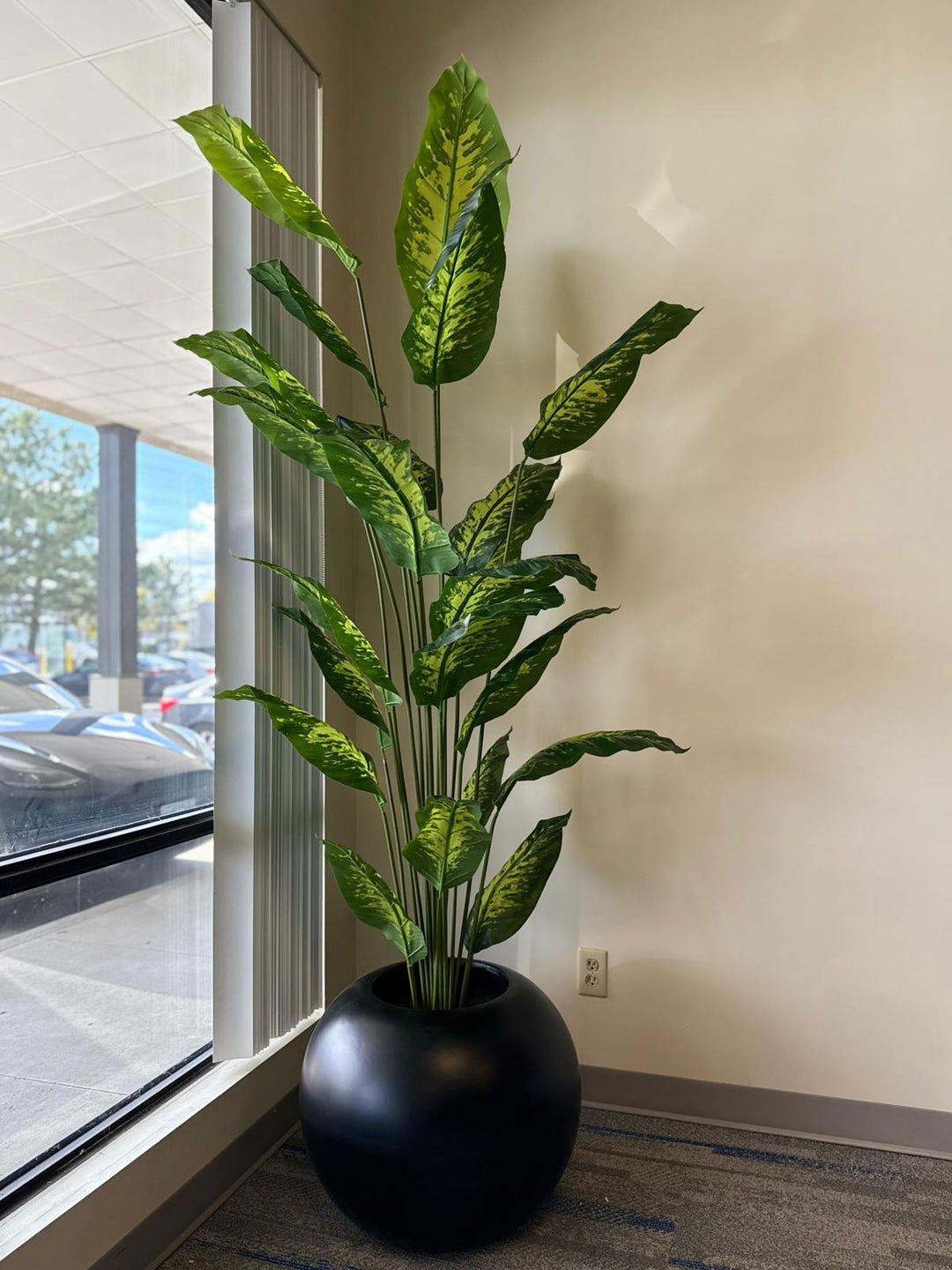 Chic Round Fiberglass Planters
