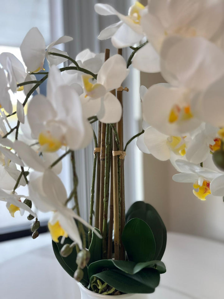 Real Touch Artificial White Orchid Arrangement