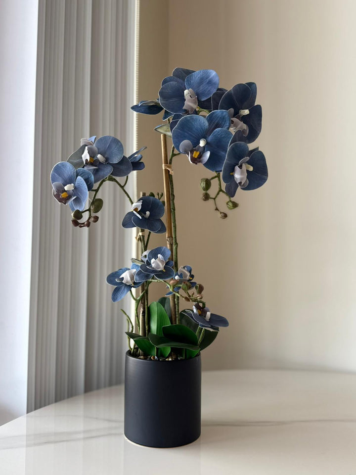 Midnight Blue Orchid Arrangement in Matte Black Vase