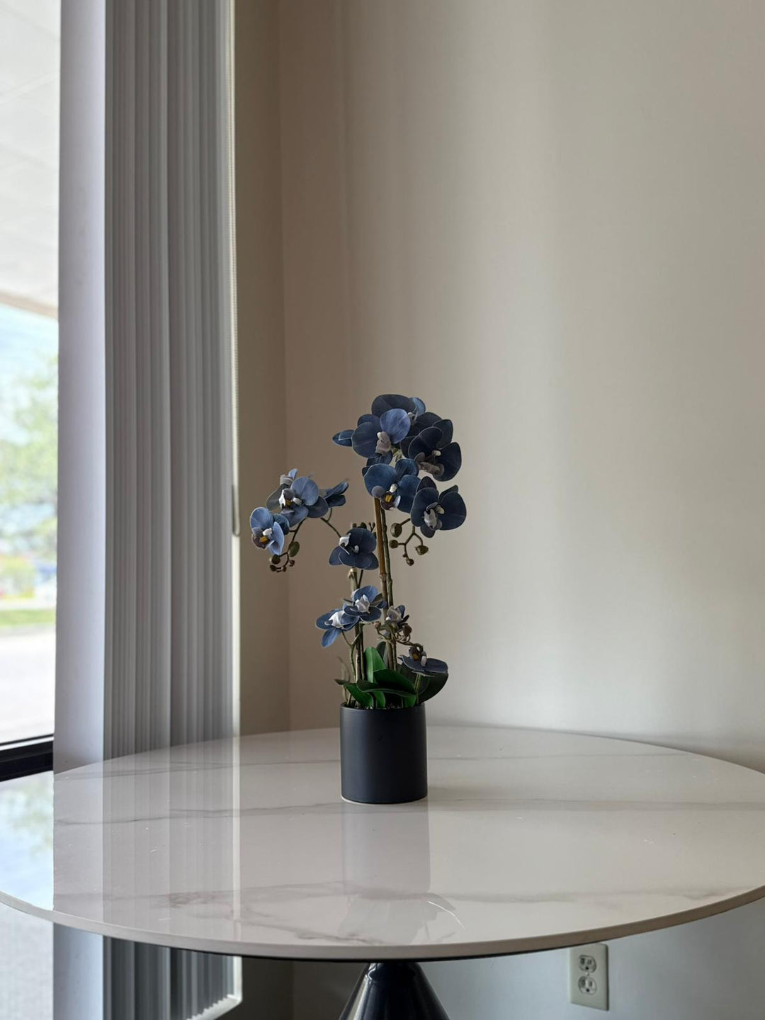 Midnight Blue Orchid Arrangement in Matte Black Vase