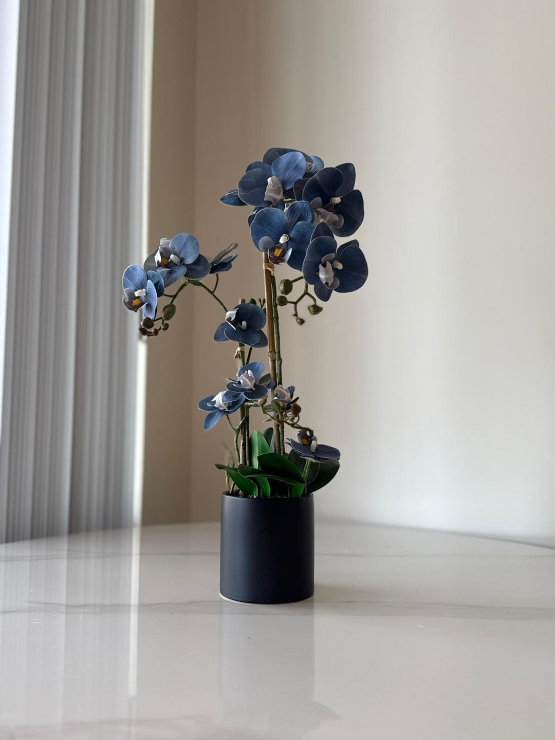 Midnight Blue Orchid Arrangement in Matte Black Vase