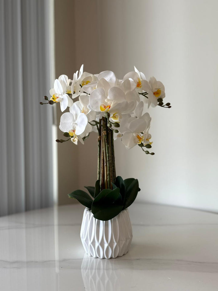 Artificial Orchid Arrangement with real touch flowers