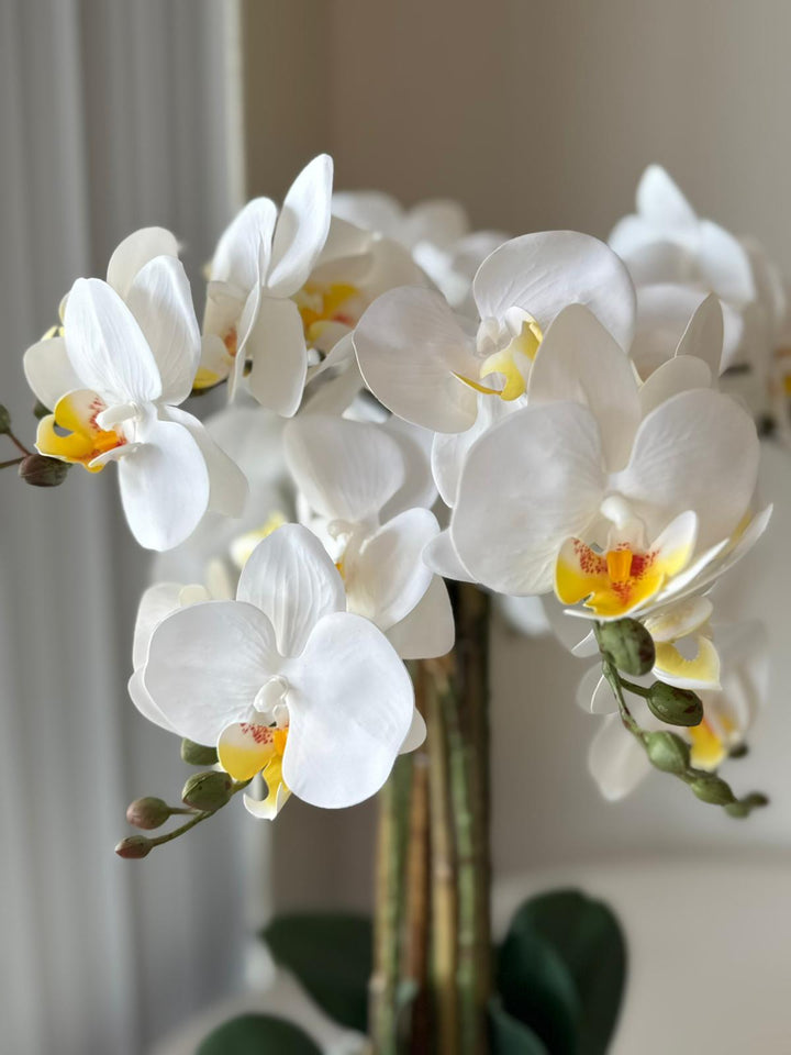 Artificial Orchid Arrangement with real touch flowers