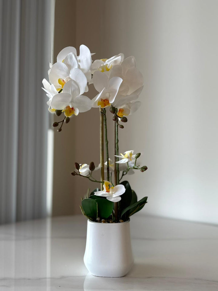 White Orchid Arrangement with real tough flowers