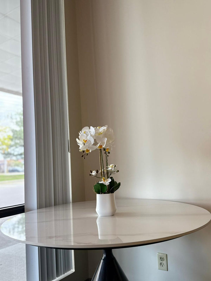 White Orchid Arrangement with real tough flowers
