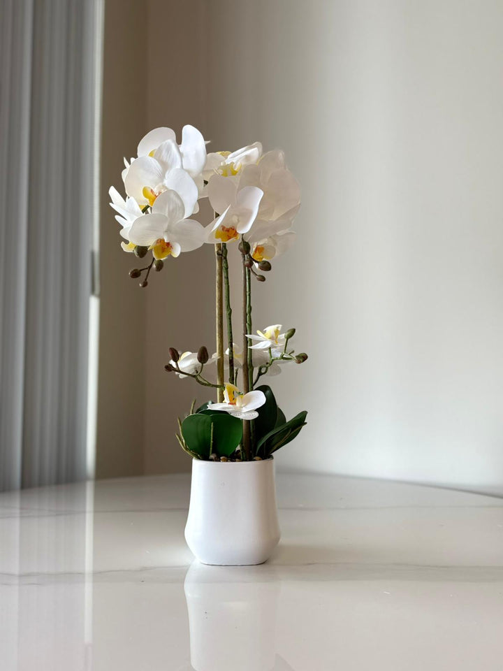 White Orchid Arrangement with real tough flowers