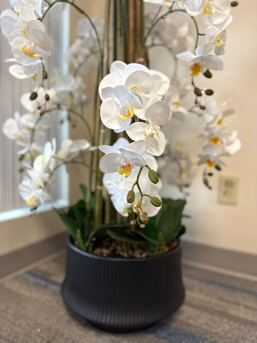 5.6ft Real Touch Artificial Orchid Arrangements