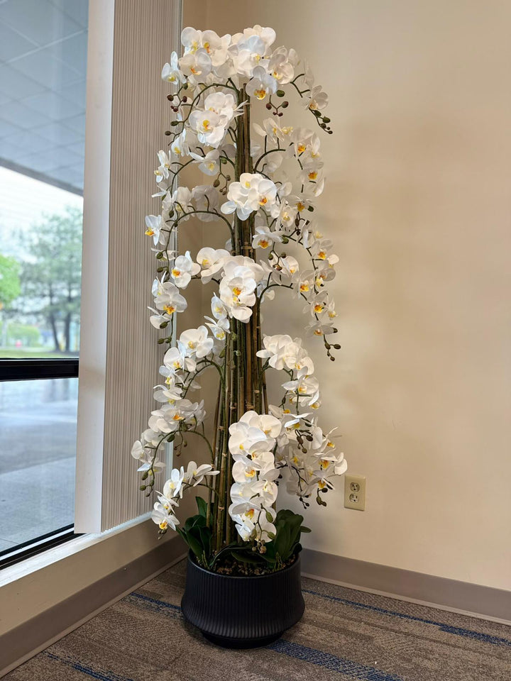 5.6ft Real Touch Artificial Orchid Arrangements