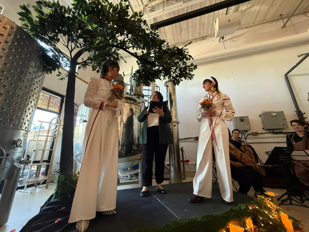 10ft Arch Ficus Tree Rental