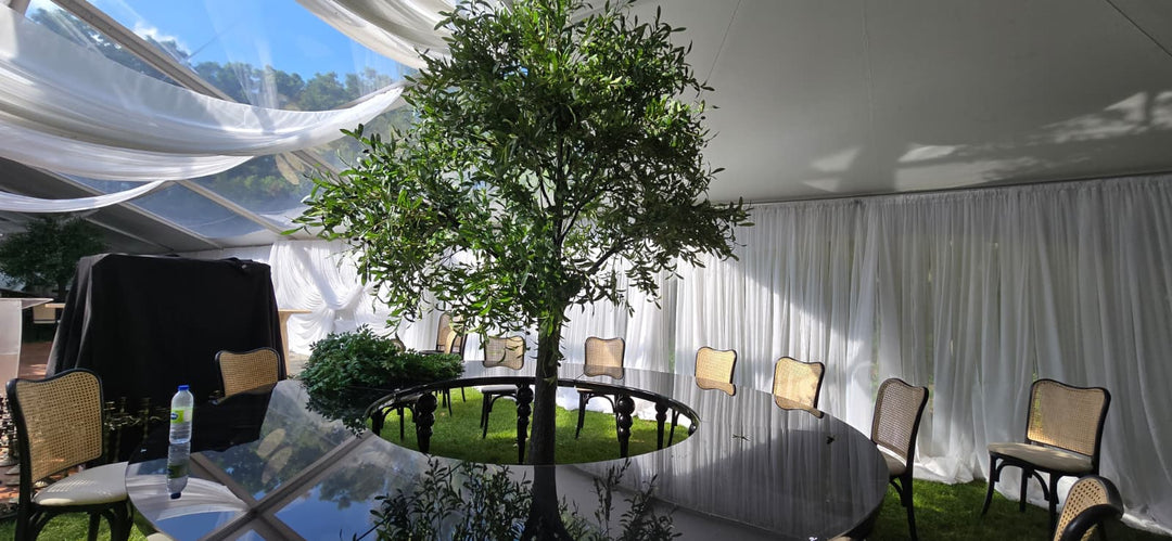10ft Artificial Olive Tree Rental