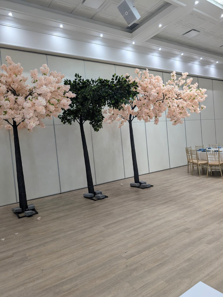 10ft Arch Ficus Tree Rental