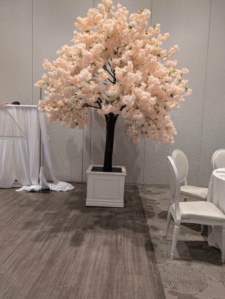 8ft White Pink Cherry Blossom Tree